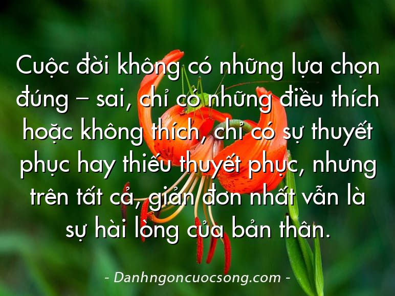 Cuộc đời không có những lựa chọn đúng – sai, chỉ có những điều thích hoặc không thích, chỉ có sự thuyết phục hay thiếu thuyết phục, nhưng trên tất cả, giản đơn nhất vẫn là sự hài lòng của bản thân.