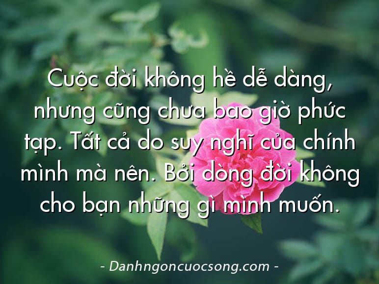 Cuộc đời không hề dễ dàng, nhưng cũng chưa bao giờ phức tạp. Tất cả do suy nghĩ của chính mình mà nên. Bởi dòng đời không cho bạn những gì mình muốn.