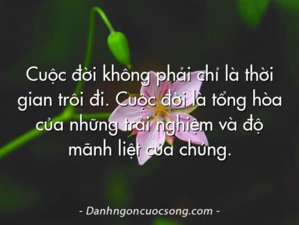 Cuộc đời không phải chỉ là thời gian trôi đi. Cuộc đời là tổng hòa của những trải nghiệm và độ mãnh liệt của chúng.
