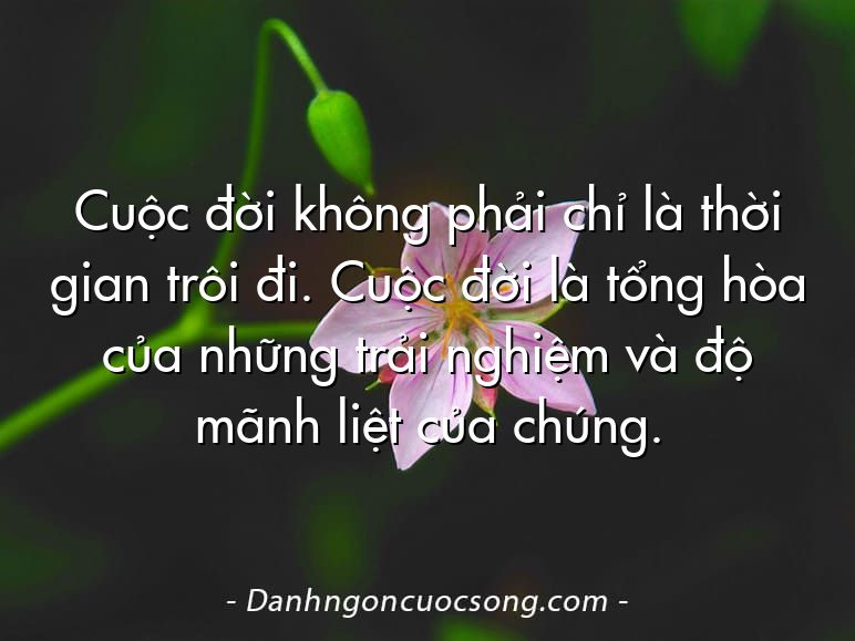 Cuộc đời không phải chỉ là thời gian trôi đi. Cuộc đời là tổng hòa của những trải nghiệm và độ mãnh liệt của chúng.