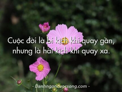 Cuộc đời là bi kịch khi quay gần, nhưng là hài kịch khi quay xa.