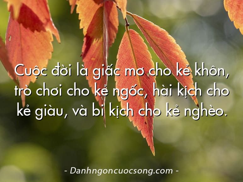 Cuộc đời là giấc mơ cho kẻ khôn, trò chơi cho kẻ ngốc, hài kịch cho kẻ giàu, và bi kịch cho kẻ nghèo.