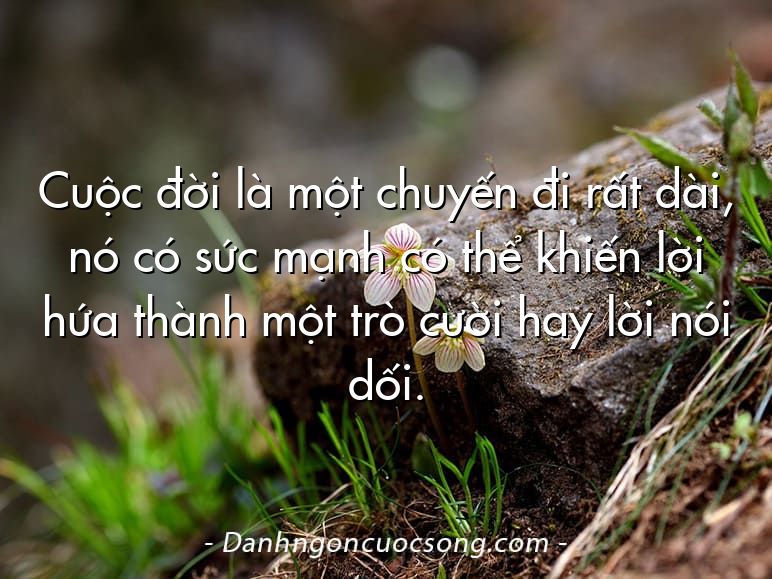Cuộc đời là một chuyến đi rất dài, nó có sức mạnh có thể khiến lời hứa thành một trò cười hay lời nói dối.