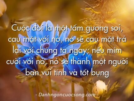 Cuộc đời là một tấm gương soi, cau mặt với nó, nó sẽ cau mặt trả lại với chúng ta ngay; nếu mỉm cười với nó, nó sẽ thành một người bạn vui tính và tốt bụng