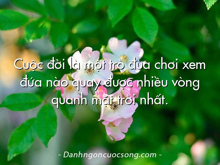Cuộc đời là một trò đùa chơi xem đứa nào quay được nhiều vòng quanh mặt trời nhất.