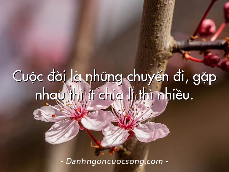 Cuộc đời là những chuyến đi, gặp nhau thì ít chia li thì nhiều.