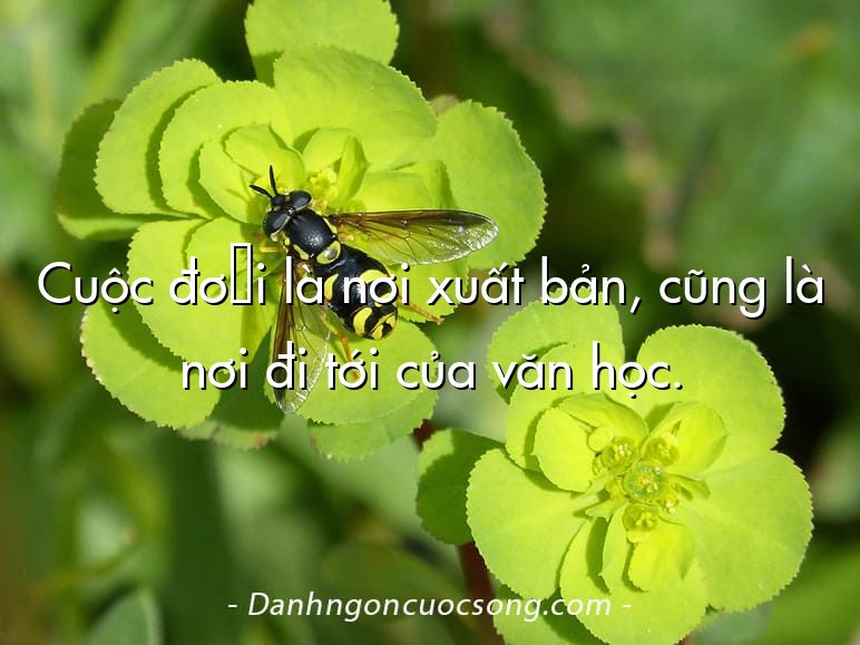 Cuộc đời là nơi xuất bản, cũng là nơi đi tới của văn học.