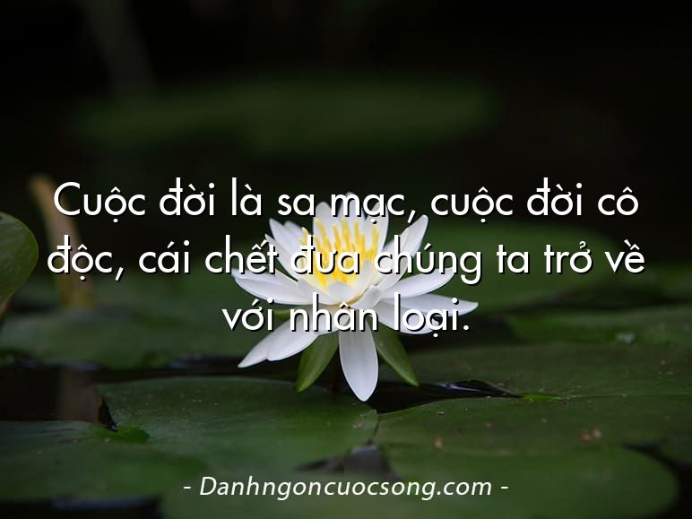 Cuộc đời là sa mạc, cuộc đời cô độc, cái chết đưa chúng ta trở về với nhân loại.