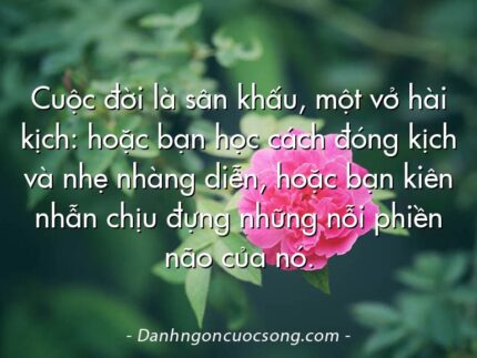 Cuộc đời là sân khấu, một vở hài kịch: hoặc bạn học cách đóng kịch và nhẹ nhàng diễn, hoặc bạn kiên nhẫn chịu đựng những nỗi phiền não của nó.