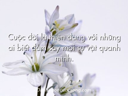 Cuộc đời là thiên đàng với những ai biết đắm say mọi sự vật quanh mình.  