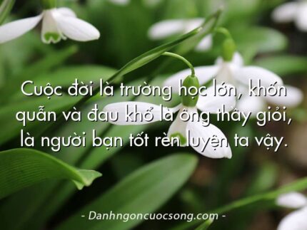 Cuộc đời là trường học lớn, khốn quẫn và đau khổ là ông thầy giỏi, là người bạn tốt rèn luyện ta vậy.  