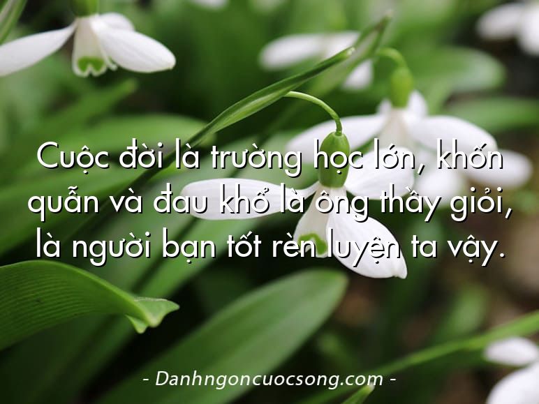 Cuộc đời là trường học lớn, khốn quẫn và đau khổ là ông thầy giỏi, là người bạn tốt rèn luyện ta vậy.  