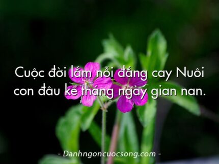 Cuộc đời lắm nỗi đắng cay Nuôi con đâu kể tháng ngày gian nan.