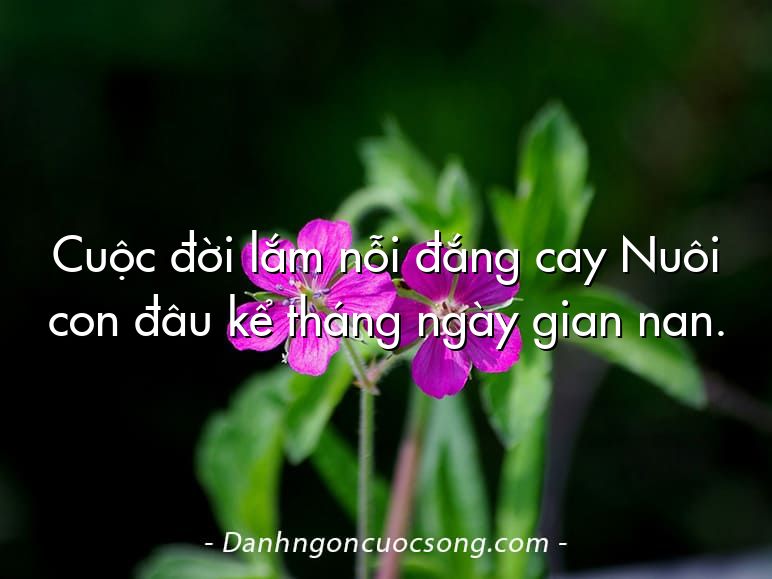 Cuộc đời lắm nỗi đắng cay Nuôi con đâu kể tháng ngày gian nan.