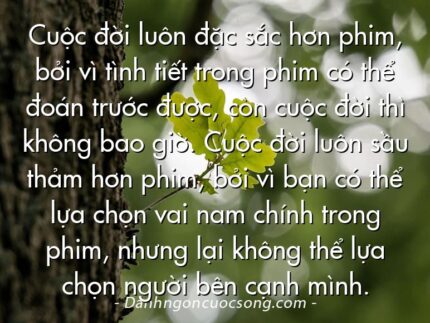 Cuộc đời luôn đặc sắc hơn phim, bởi vì tình tiết trong phim có thể đoán trước được, còn cuộc đời thì không bao giờ. Cuộc đời luôn sầu thảm hơn phim, bởi vì bạn có thể lựa chọn vai nam chính trong phim, nhưng lại không thể lựa chọn người bên cạnh mình.