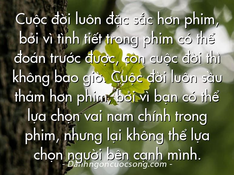 Cuộc đời luôn đặc sắc hơn phim, bởi vì tình tiết trong phim có thể đoán trước được, còn cuộc đời thì không bao giờ. Cuộc đời luôn sầu thảm hơn phim, bởi vì bạn có thể lựa chọn vai nam chính trong phim, nhưng lại không thể lựa chọn người bên cạnh mình.