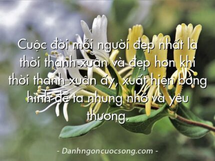 Cuộc đời mỗi người đẹp nhất là thời thanh xuân và đẹp hơn khi thời thanh xuân ấy, xuất hiện bóng hình để ta nhung nhớ và yêu thương.