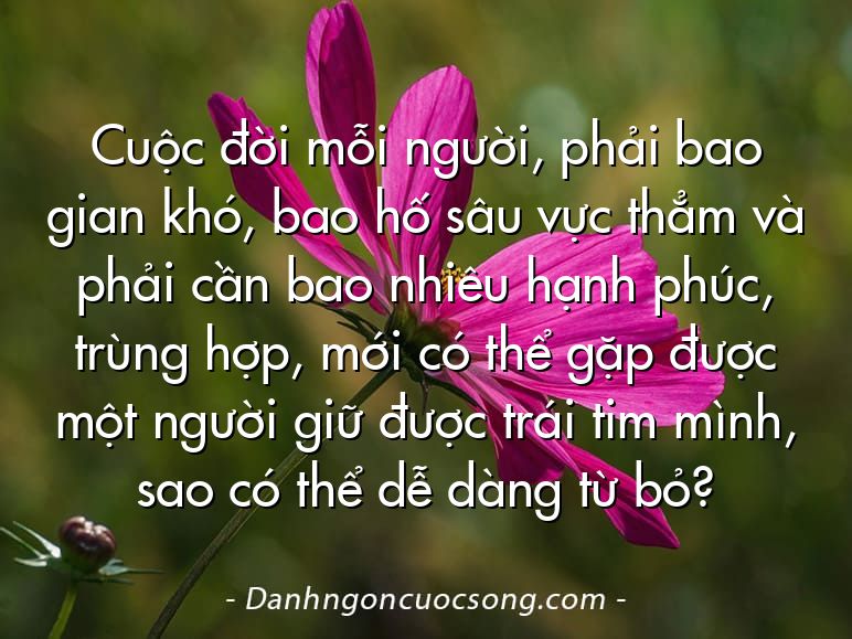 Cuộc đời mỗi người, phải bao gian khó, bao hố sâu vực thẳm và phải cần bao nhiêu hạnh phúc, trùng hợp, mới có thể gặp được một người giữ được trái tim mình, sao có thể dễ dàng từ bỏ?
