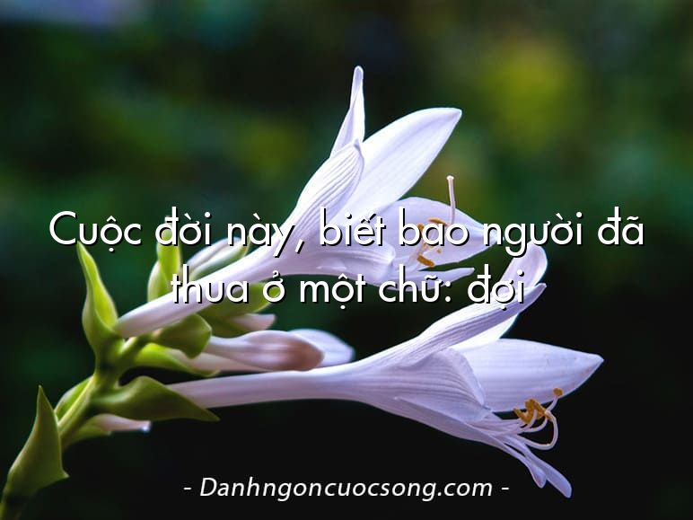 Cuộc đời này, biết bao người đã thua ở một chữ: đợi