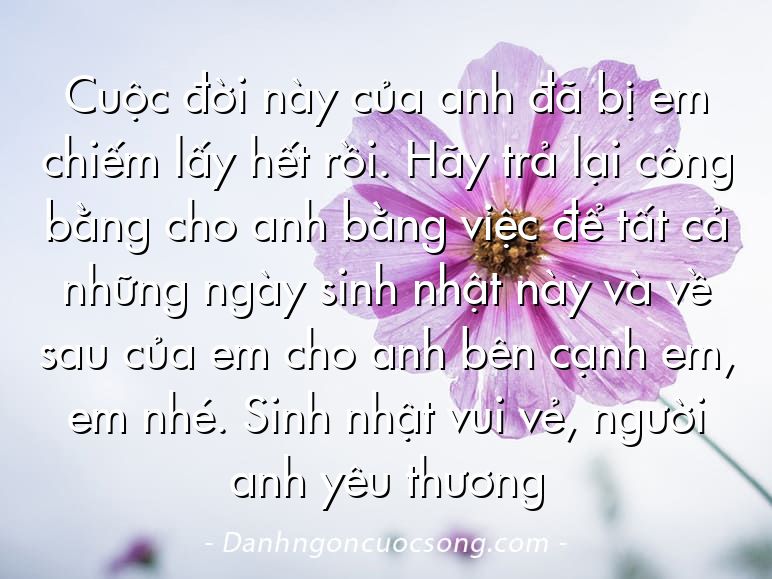Cuộc đời này của anh đã bị em chiếm lấy hết rồi. Hãy trả lại công bằng cho anh bằng việc để tất cả những ngày sinh nhật này và về sau của em cho anh bên cạnh em, em nhé. Sinh nhật vui vẻ, người anh yêu thương