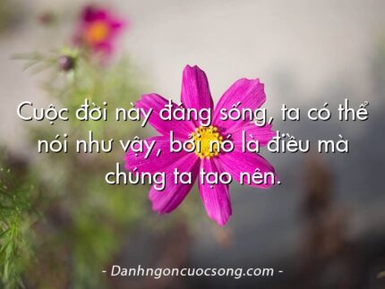Cuộc đời này đáng sống, ta có thể nói như vậy, bởi nó là điều mà chúng ta tạo nên.