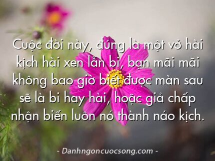 Cuộc đời này, đúng là một vở hài kịch hài xen lẫn bi, bạn mãi mãi không bao giờ biết được màn sau sẽ là bi hay hài, hoặc giả chấp nhận biến luôn nó thành náo kịch.