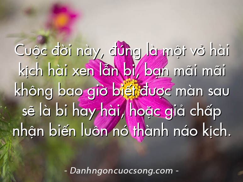 Cuộc đời này, đúng là một vở hài kịch hài xen lẫn bi, bạn mãi mãi không bao giờ biết được màn sau sẽ là bi hay hài, hoặc giả chấp nhận biến luôn nó thành náo kịch.