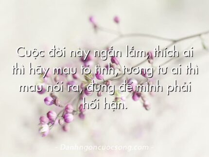 Cuộc đời này ngắn lắm, thích ai thì hãy mau tỏ tình, tương tư ai thì mau nói ra, đừng để mình phải hối hận.