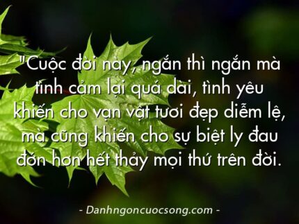 "Cuộc đời này, ngắn thì ngắn mà tình cảm lại quá dài, tình yêu khiến cho vạn vật tươi đẹp diễm lệ, mà cũng khiến cho sự biệt ly đau đớn hơn hết thảy mọi thứ trên đời.