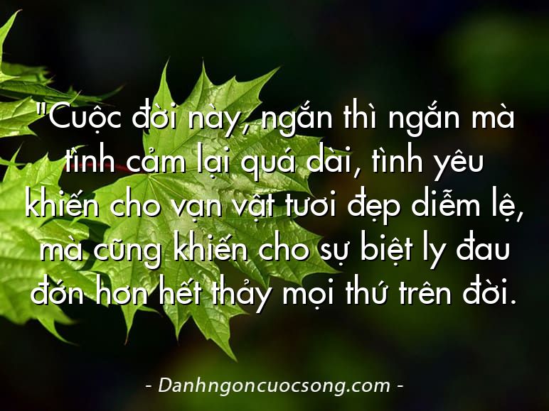 "Cuộc đời này, ngắn thì ngắn mà tình cảm lại quá dài, tình yêu khiến cho vạn vật tươi đẹp diễm lệ, mà cũng khiến cho sự biệt ly đau đớn hơn hết thảy mọi thứ trên đời.