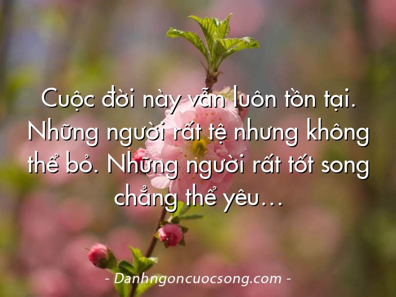 Cuộc đời này vẫn luôn tồn tại. Những người rất tệ nhưng không thể bỏ. Những người rất tốt song chẳng thể yêu…