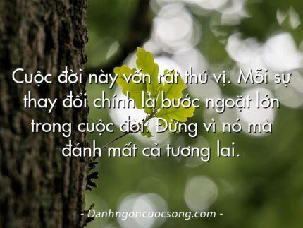 Cuộc đời này vốn rất thú vị. Mỗi sự thay đổi chính là bước ngoặt lớn trong cuộc đời. Đừng vì nó mà đánh mất cả tương lai.