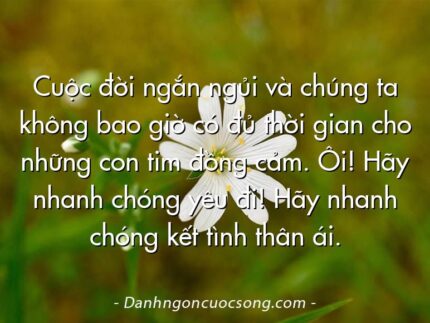 Cuộc đời ngắn ngủi và chúng ta không bao giờ có đủ thời gian cho những con tim đồng cảm. Ôi! Hãy nhanh chóng yêu đi! Hãy nhanh chóng kết tình thân ái.