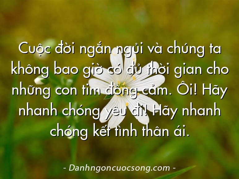 Cuộc đời ngắn ngủi và chúng ta không bao giờ có đủ thời gian cho những con tim đồng cảm. Ôi! Hãy nhanh chóng yêu đi! Hãy nhanh chóng kết tình thân ái.