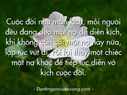 Cuộc đời như màn kịch, mỗi người đều đang đeo mặt nạ để diễn kịch, khi không cần cái mặt nạ này nữa, lập tức vứt đi, rồi lại thay một chiêc mặt nạ khác để tiếp tục diễn vở kịch cuộc đời.