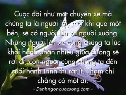 Cuộc đời như một chuyến xe mà chúng ta là người lái, mỗi khi qua một bến, sẽ có người lên và người xuống. Những người lên xe cùng chúng ta lúc khởi hành phần nhiều giữa đường sẽ rời đi, còn người cùng chúng ta đến cuối hành trình thì rất ít. Thậm chí chẳng có một ai.