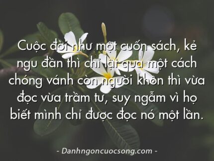 Cuộc đời như một cuốn sách, kẻ ngu đần thì chỉ lật qua một cách chóng vánh còn người khôn thì vừa đọc vừa trầm tư, suy ngẫm vì họ biết mình chỉ được đọc nó một lần.