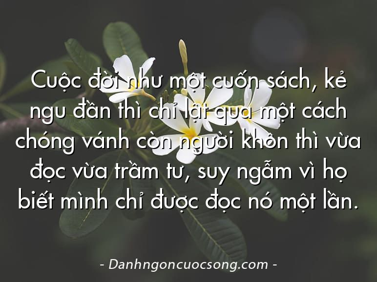 Cuộc đời như một cuốn sách, kẻ ngu đần thì chỉ lật qua một cách chóng vánh còn người khôn thì vừa đọc vừa trầm tư, suy ngẫm vì họ biết mình chỉ được đọc nó một lần.