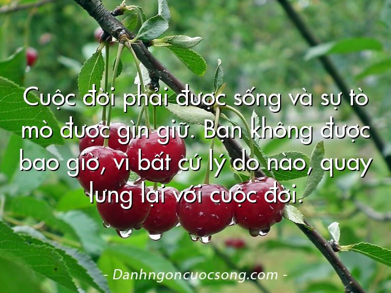 Cuộc đời phải được sống và sự tò mò được gìn giữ. Bạn không được bao giờ, vì bất cứ lý do nào, quay lưng lại với cuộc đời.