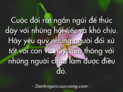 Cuộc đời rất ngắn ngủi để thức dậy với những hối tiếc và khó chịu. Hãy yêu quý những người đối xử tốt với con và hãy cảm thông với những người chưa làm được điều đó.