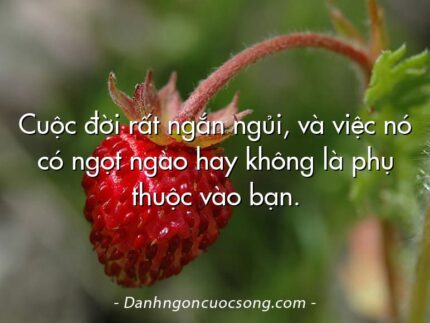 Cuộc đời rất ngắn ngủi, và việc nó có ngọt ngào hay không là phụ thuộc vào bạn.