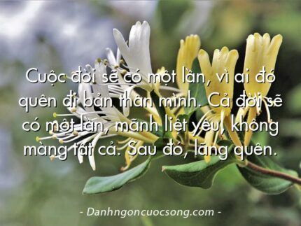 Cuộc đời sẽ có một lần, vì ai đó quên đi bản thân mình. Cả đời sẽ có một lần, mãnh liệt yêu, không màng tất cả. Sau đó, lãng quên.