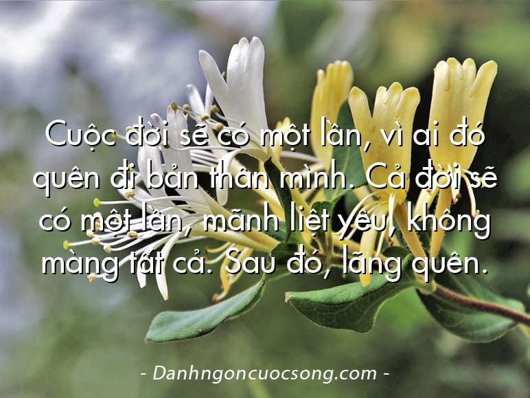 Cuộc đời sẽ có một lần, vì ai đó quên đi bản thân mình. Cả đời sẽ có một lần, mãnh liệt yêu, không màng tất cả. Sau đó, lãng quên.