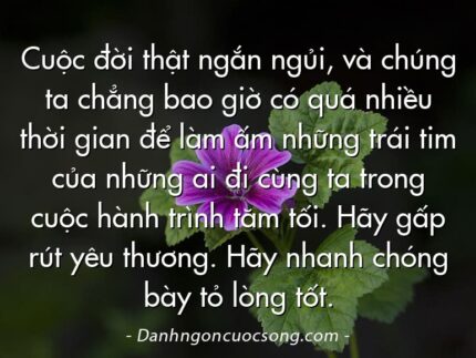 Cuộc đời thật ngắn ngủi, và chúng ta chẳng bao giờ có quá nhiều thời gian để làm ấm những trái tim của những ai đi cùng ta trong cuộc hành trình tăm tối. Hãy gấp rút yêu thương. Hãy nhanh chóng bày tỏ lòng tốt.