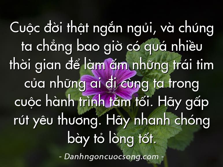 Cuộc đời thật ngắn ngủi, và chúng ta chẳng bao giờ có quá nhiều thời gian để làm ấm những trái tim của những ai đi cùng ta trong cuộc hành trình tăm tối. Hãy gấp rút yêu thương. Hãy nhanh chóng bày tỏ lòng tốt.