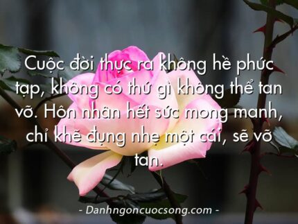 Cuộc đời thực ra không hề phức tạp, không có thứ gì không thể tan vỡ. Hôn nhân hết sức mong manh, chỉ khẽ đụng nhẹ một cái, sẽ vỡ tan.