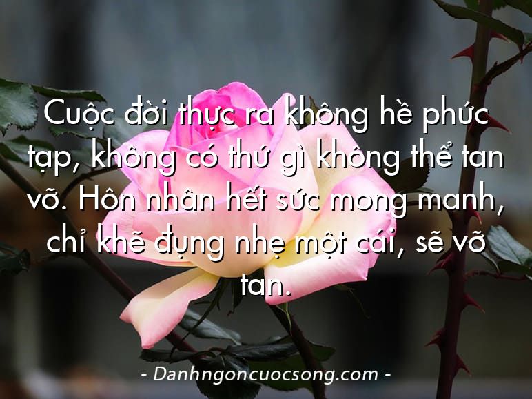 Cuộc đời thực ra không hề phức tạp, không có thứ gì không thể tan vỡ. Hôn nhân hết sức mong manh, chỉ khẽ đụng nhẹ một cái, sẽ vỡ tan.
