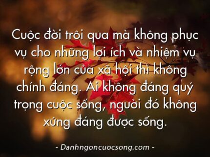 Cuộc đời trôi qua mà không phục vụ cho những lợi ích và nhiệm vụ rộng lớn của xã hội thì không chính đáng. Ai không đáng quý trọng cuộc sống, người đó không xứng đáng được sống.