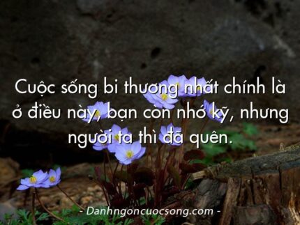 Cuộc sống bi thương nhất chính là ở điều này, bạn còn nhớ kỹ, nhưng người ta thì đã quên.