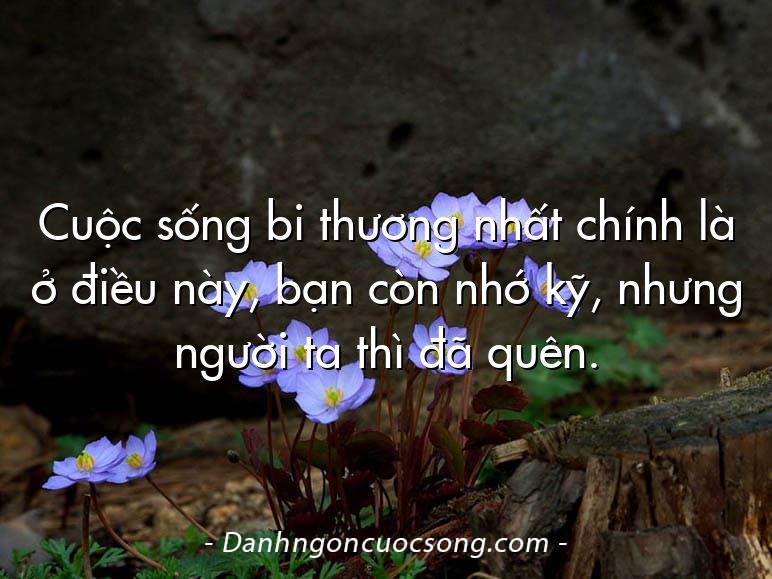 Cuộc sống bi thương nhất chính là ở điều này, bạn còn nhớ kỹ, nhưng người ta thì đã quên.